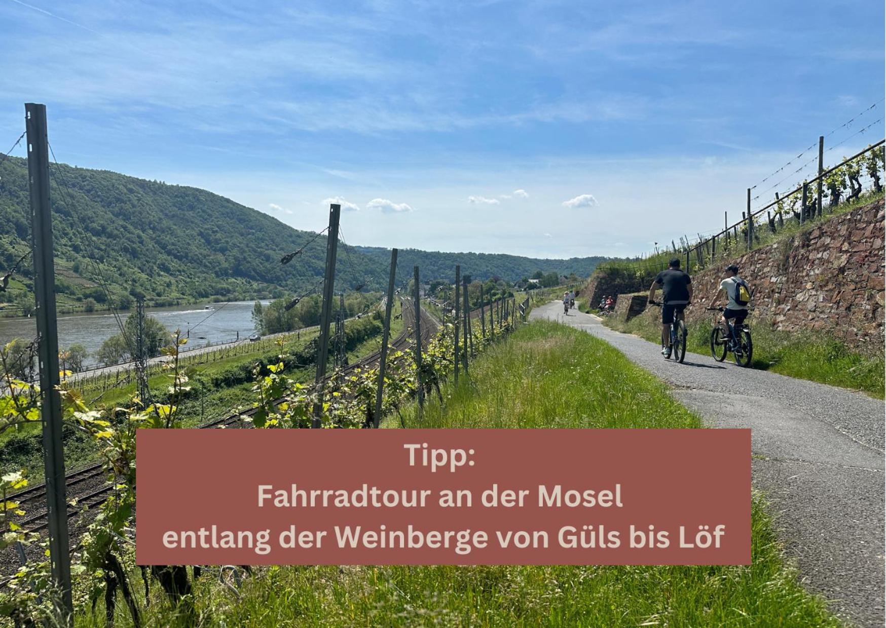 New York Apartment - Fuer Freunde & Familien, Stadtnah, Parkplatz, E-Ladestation, Gitterbox Fuer Fahrraeder, Fitnessstudio, Digitale Gaestemappe Mit Restaurant- Und Unternehmenstipps โคเบลนซ์ ภายนอก รูปภาพ